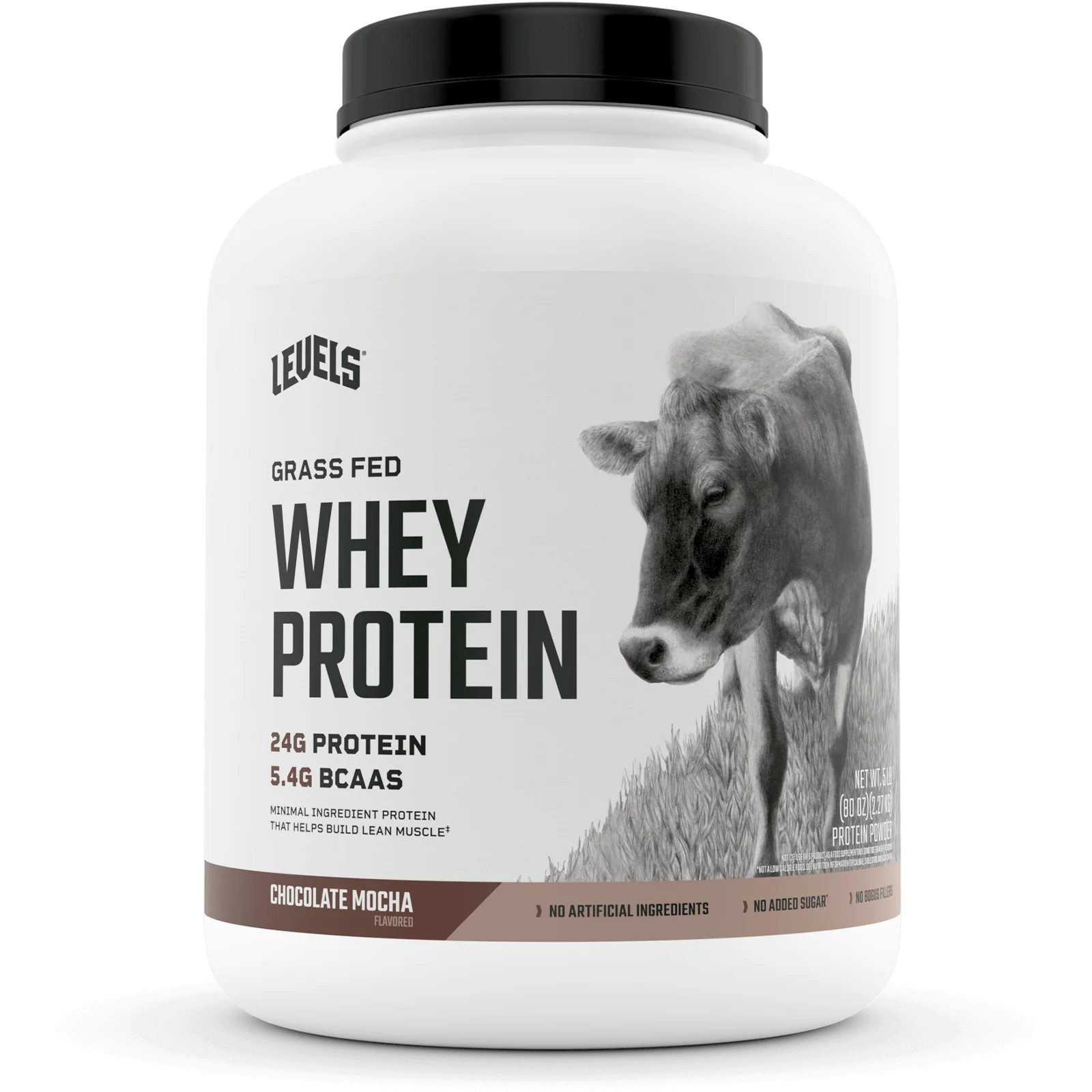 Grass Fed Whey Chocolate Mocha